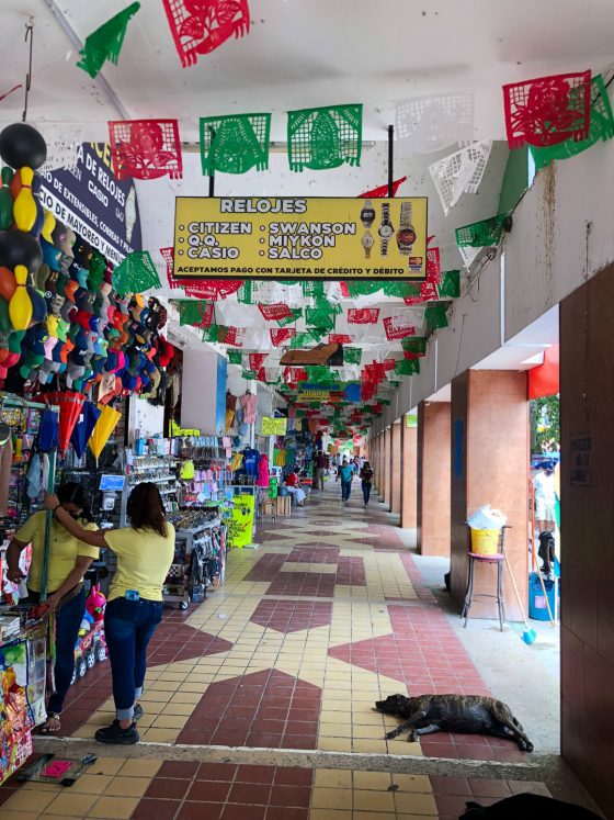Chetumal, Mexico: Is it Worth Visiting? - San Pedro Scoop