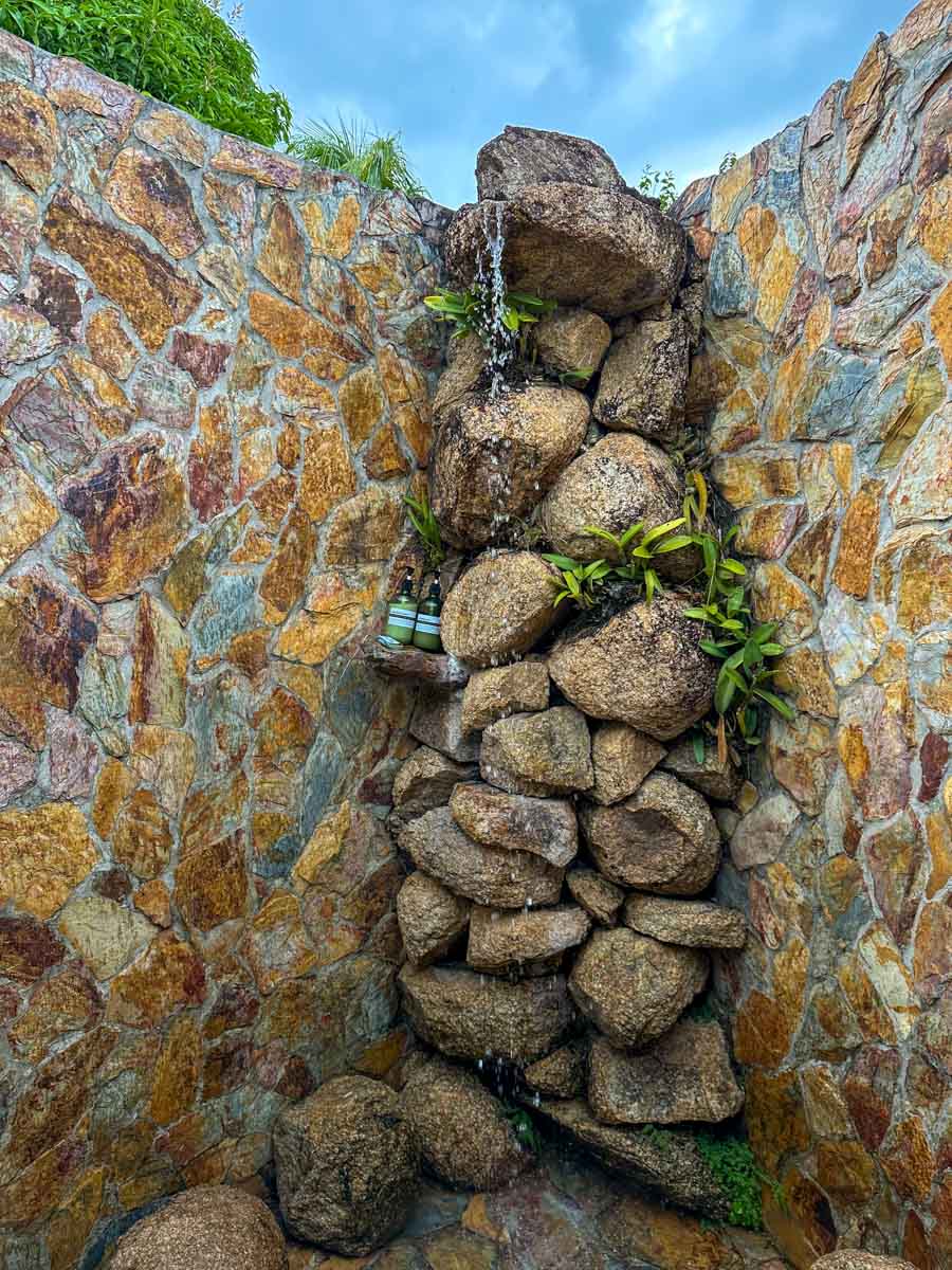 Rock shower with orchids growing on it